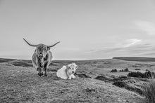 Load image into Gallery viewer, The Black & White Bundle
