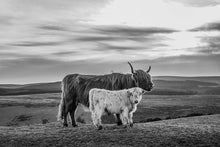 Load image into Gallery viewer, The Black & White Bundle