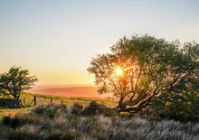 Load image into Gallery viewer, Meg's View