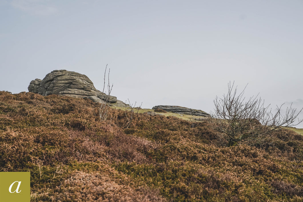 Dartmoor on April 2nd 2021