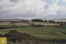 Load image into Gallery viewer, Dartmoor on April 5th 2021
