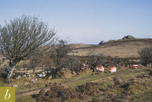 Load image into Gallery viewer, Dartmoor on March 8th 2021
