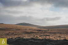 Load image into Gallery viewer, Dartmoor on February 12th 2021

