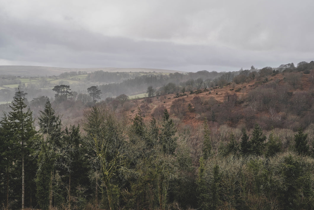 Dartmoor on March 13th 2021