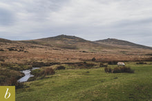 Load image into Gallery viewer, Dartmoor on March 17th 2021
