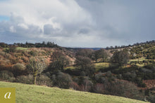 Load image into Gallery viewer, Dartmoor on February 18th 2021
