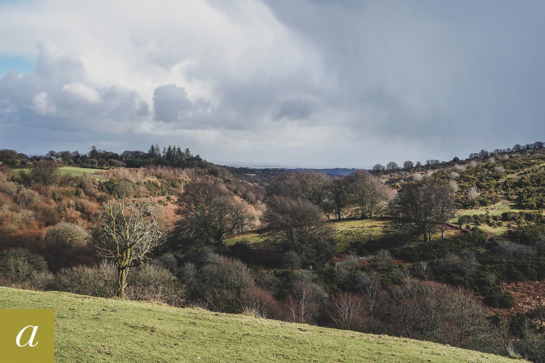 Dartmoor on February 18th 2021