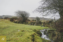 Load image into Gallery viewer, Dartmoor on February 19th 2021
