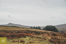 Load image into Gallery viewer, Dartmoor on February 20th 2021
