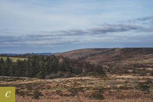 Dartmoor on March 22nd 2021