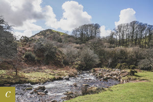 Dartmoor on February 25th 2021