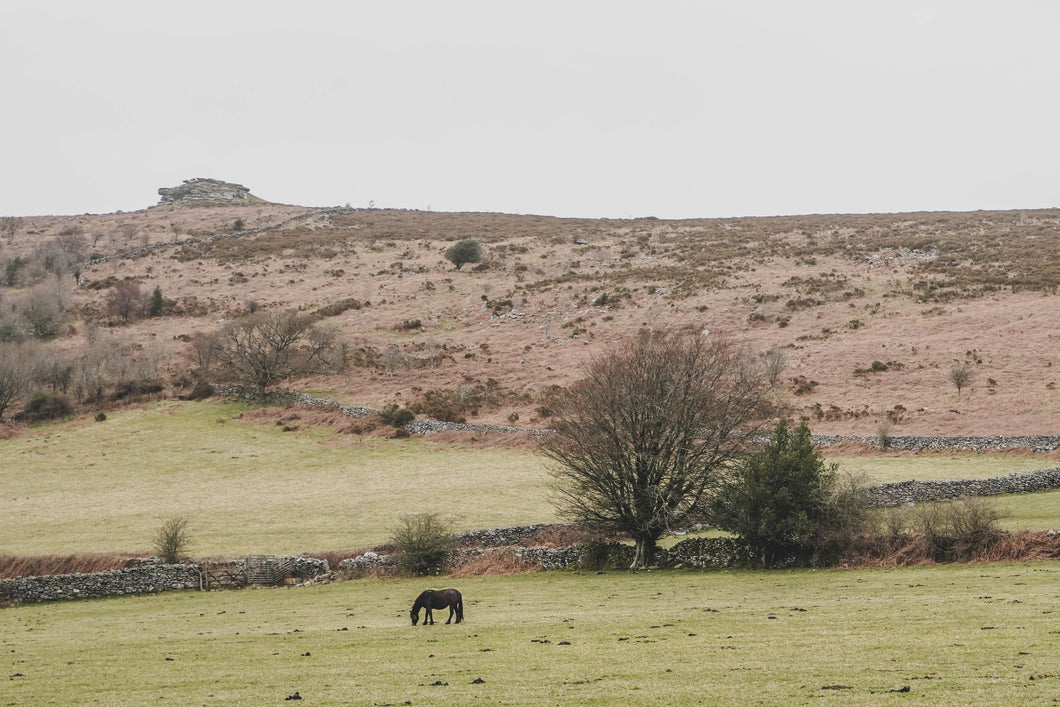 Dartmoor on March 28th 2021
