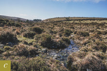 Load image into Gallery viewer, Dartmoor on March 29th 2021
