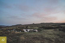 Load image into Gallery viewer, Dartmoor on March 30th 2021
