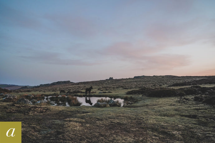 Dartmoor on March 30th 2021