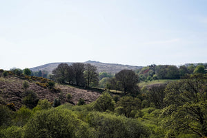 Dartmoor on April 23rd 2020