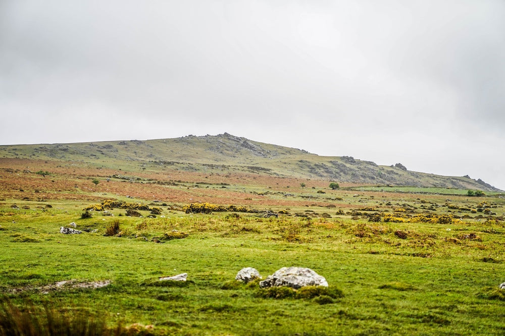 Dartmoor on April 30th 2020