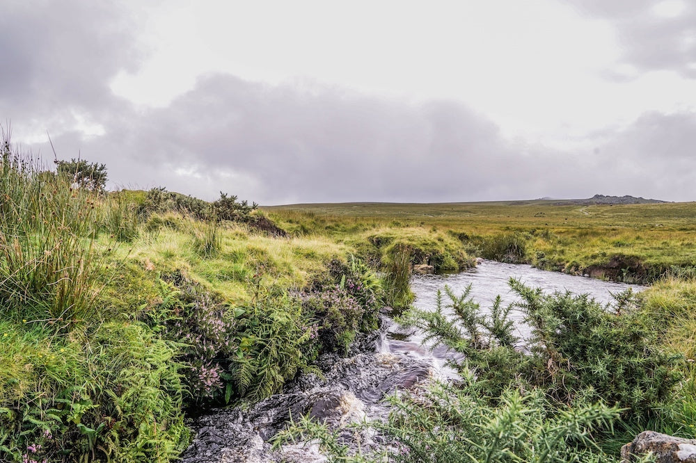 Dartmoor on August 19th 2020