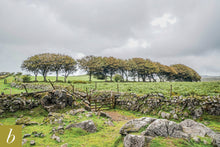 Load image into Gallery viewer, Dartmoor on August 5th 2020

