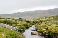 Load image into Gallery viewer, Dartmoor on July 18th 2020

