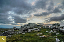 Load image into Gallery viewer, Dartmoor on June 29th 2020
