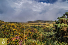 Load image into Gallery viewer, Dartmoor on August 27th 2020
