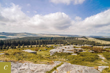 Load image into Gallery viewer, Dartmoor on May 21st 2020
