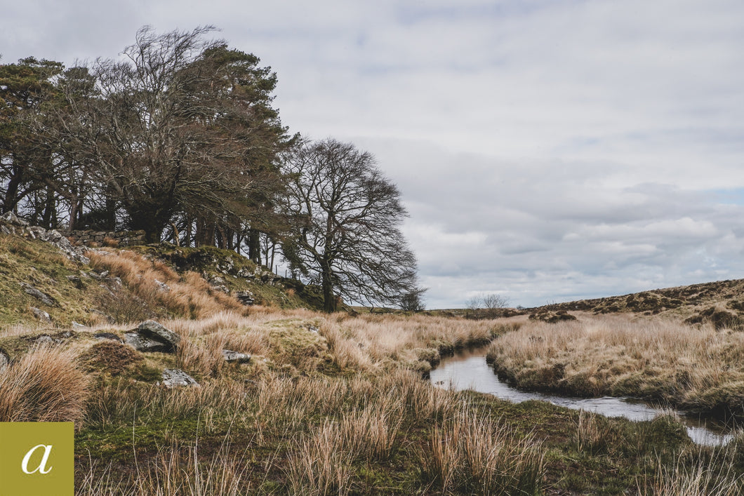 Dartmoor on April 9th 2021