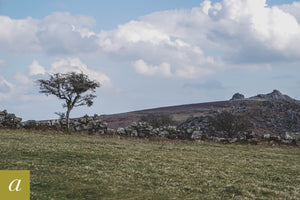 Dartmoor on April 10th 2021