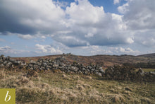 Load image into Gallery viewer, Dartmoor on April 10th 2021
