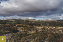 Load image into Gallery viewer, Dartmoor on April 12th 2021
