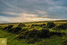 Load image into Gallery viewer, Dartmoor on August 13th 2020
