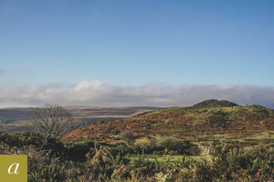 Dartmoor on October 15th 2020