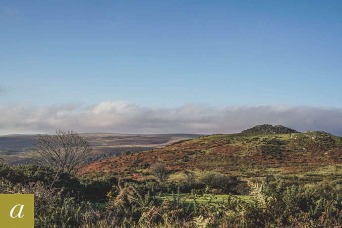 Dartmoor on October 15th 2020