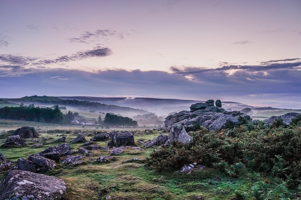 The Hound Tor Bundle