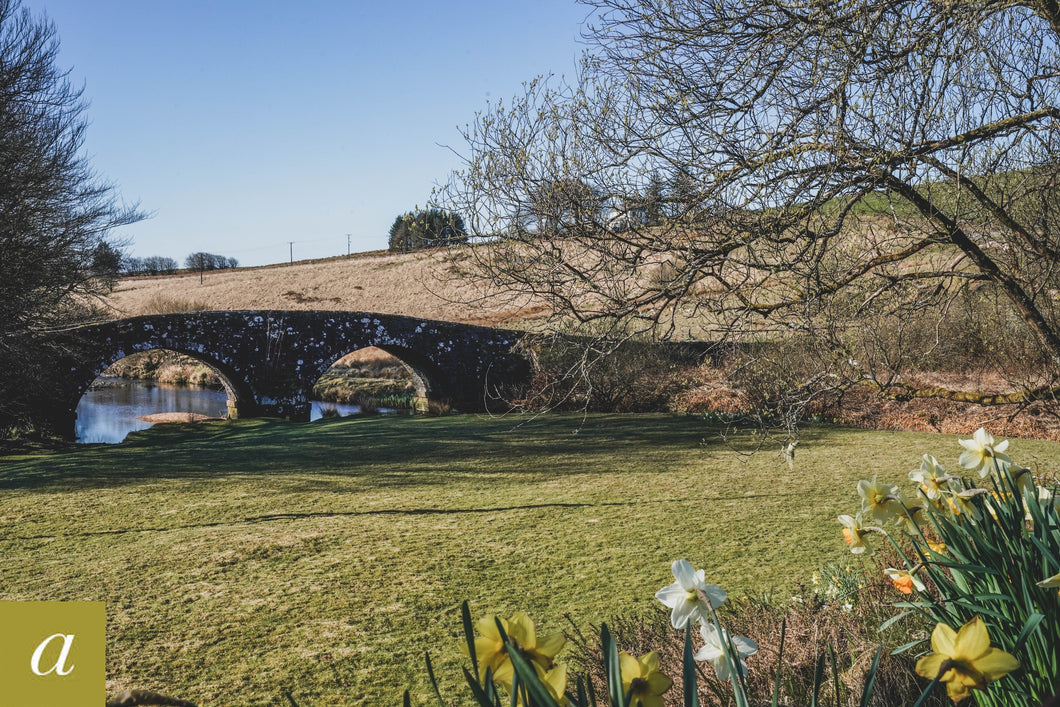 Dartmoor on April 15th 2021
