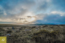 Load image into Gallery viewer, Dartmoor on August 18th 2020
