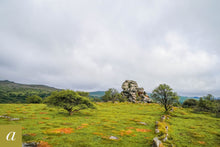 Load image into Gallery viewer, Dartmoor on June 12th 2020
