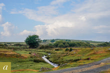 Load image into Gallery viewer, Dartmoor on June 8th 2020
