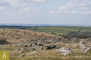 Dartmoor on April 16th 2021