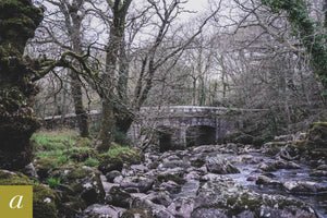 Dartmoor on April 19th 2021