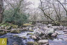 Load image into Gallery viewer, Dartmoor on April 19th 2021
