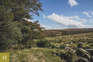 Dartmoor on September 29th 2020