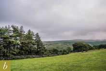 Load image into Gallery viewer, Dartmoor on July 9th 2020
