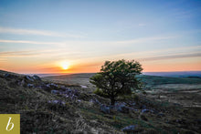 Load image into Gallery viewer, Dartmoor on May 12th 2020

