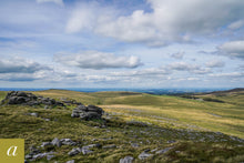 Load image into Gallery viewer, Dartmoor on July 29th 2020
