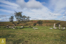 Load image into Gallery viewer, Dartmoor on October 1st 2020
