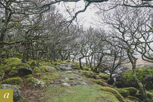 Load image into Gallery viewer, Dartmoor on December 10th 2020
