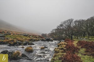 Dartmoor on December 10th 2020