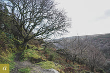 Load image into Gallery viewer, Dartmoor on December 11th 2020
